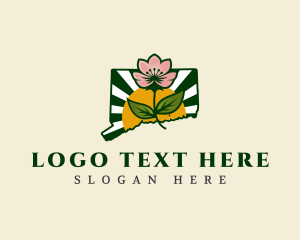 Botanical - Connecticut Botanical Flower logo design