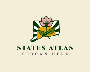 Connecticut Botanical Flower logo design