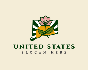 Connecticut Botanical Flower logo design