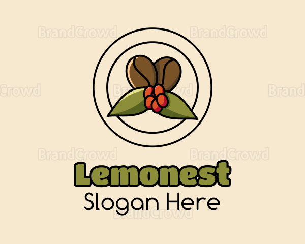 Coffee Bean Mistletoe Logo