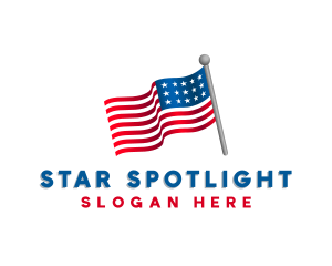 3D USA Political Flag logo design