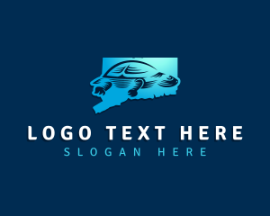 Map - Bog Turtle Connecticut logo design