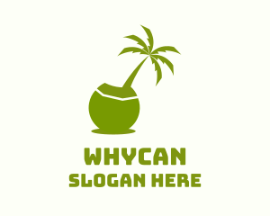 Coconut - Island Coconut Tree logo design
