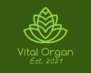 Symmetrical Organic Plant logo design