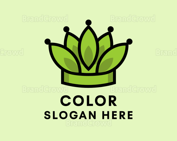 Botanical Leaf Crown Logo
