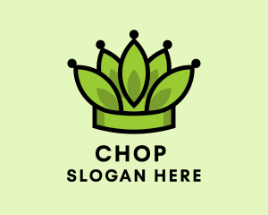 Botanical Leaf Crown  Logo