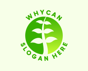 Organic Vegetarian Farming Logo