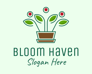 Blooming Flower Pot Plant  logo design