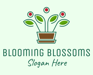 Blooming - Blooming Flower Pot Plant logo design