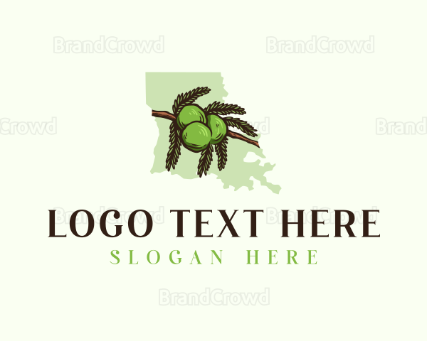 Bald Cypress Louisiana Logo