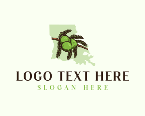 Map - Bald Cypress Louisiana logo design