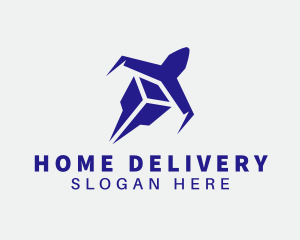 Blue Cargo Plane logo design