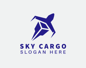 Blue Cargo Plane logo design