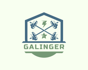 Lightning Star Barbell Gym Logo