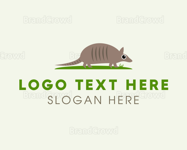 Wild Armadillo Zoo Logo