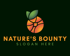 Natural Orange Fruit logo design