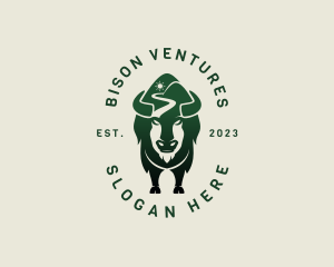 Bison Mountain Valley logo design