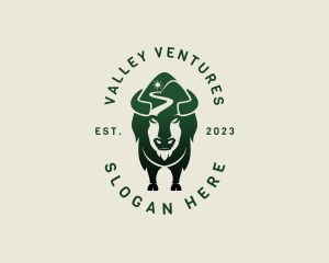 Bison Mountain Valley logo design