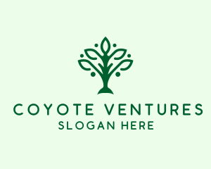 Natural Tree Plant logo design