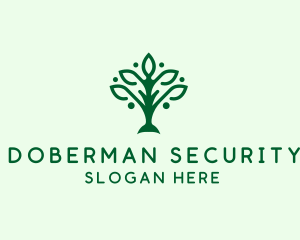 Natural Tree Plant logo design