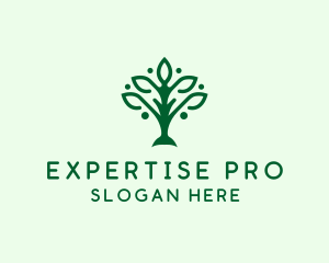 Natural Tree Plant logo design