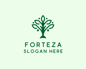 Natural Tree Plant logo design