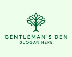 Natural Tree Plant logo design