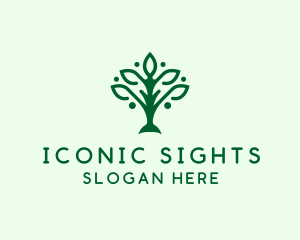 Natural Tree Plant logo design