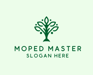 Natural Tree Plant logo design