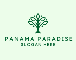 Natural Tree Plant logo design