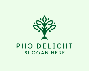 Natural Tree Plant logo design