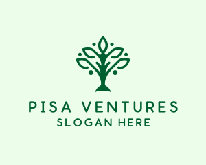 Natural Tree Plant logo design