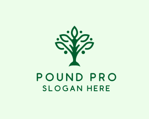 Natural Tree Plant logo design