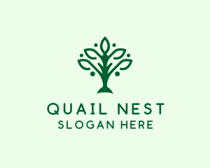 Natural Tree Plant logo design