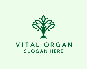 Natural Tree Plant logo design