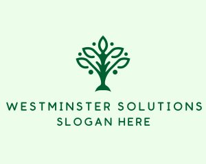 Natural Tree Plant logo design