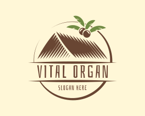 Organic Nipa Hut Roof logo design