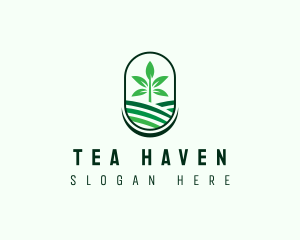 Plant Tree Farm logo design