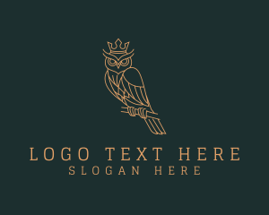 Ornithologist - Nocturnal Crown Owl logo design
