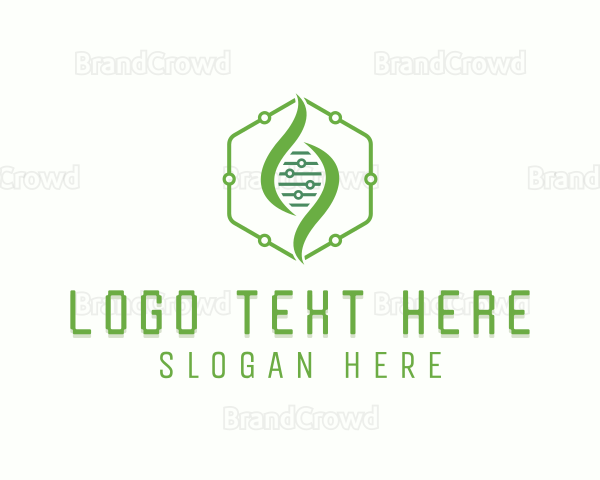 Hexagon DNA Biotechnology Logo