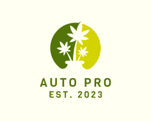 Herbal Medicine - Cannabis Plant Weed logo design