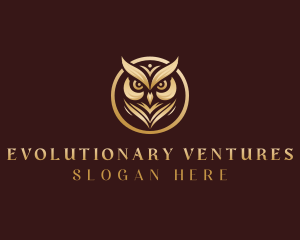 Owl Wildlife Aviary logo design