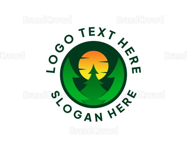 Sun Pine Tree Forest Logo