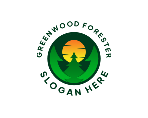 Sun Pine Tree Forest logo design