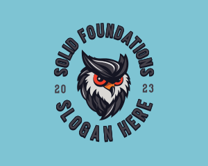 Owl Bird Streaming Logo