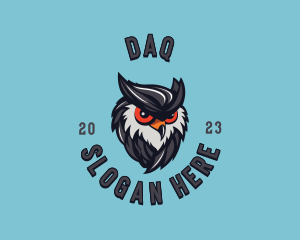 Owl Bird Streaming Logo