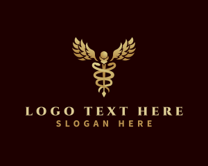 Health - Health Caduceus Wing logo design