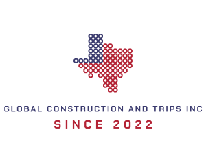 Texas Networking Web logo design