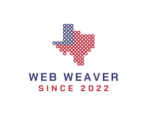 Texas Networking Web logo design