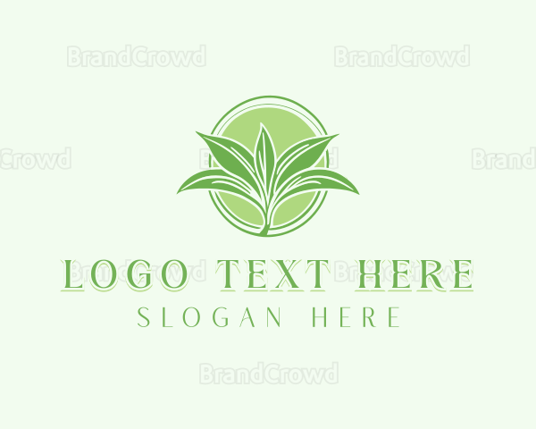 Botanical Greenery Plant Logo